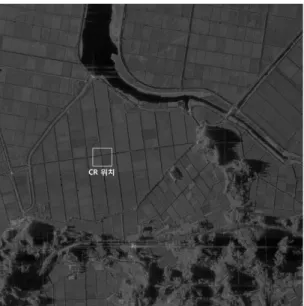 Fig.  9.  Strip  image(7,000  ft,  4  km  ×  4  km)