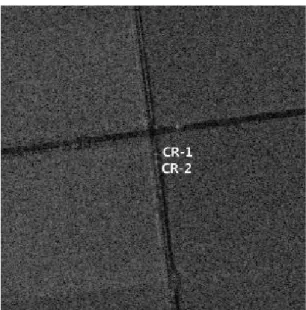 Fig.  11.  Expanded  image  of  CR  area 5.  결  론   SAR 장비의  기능  및  성능을  확인하기  위한  테스트  베드를  구성하고, PIPER 항공기를  이용한  개조/승인을  통해  이를  구현하였다 