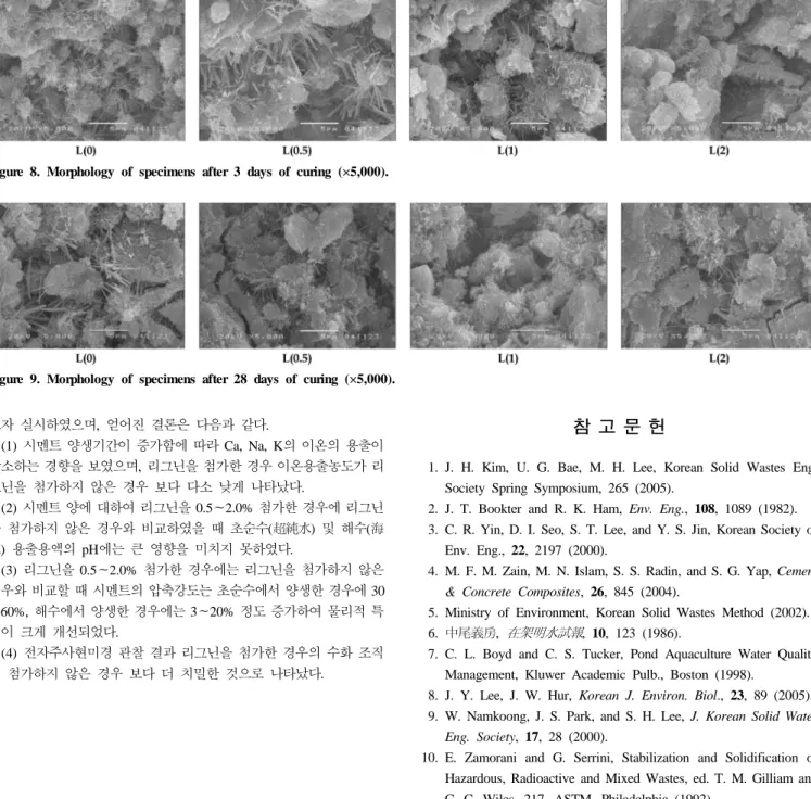 Figure 8. Morphology of specimens after 3 days of curing (×5,000).