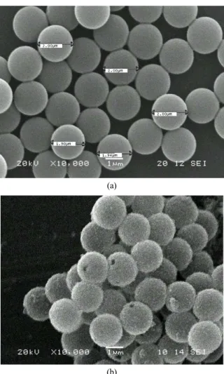 Figure 1. SEM photographs of MnO 2  particles.