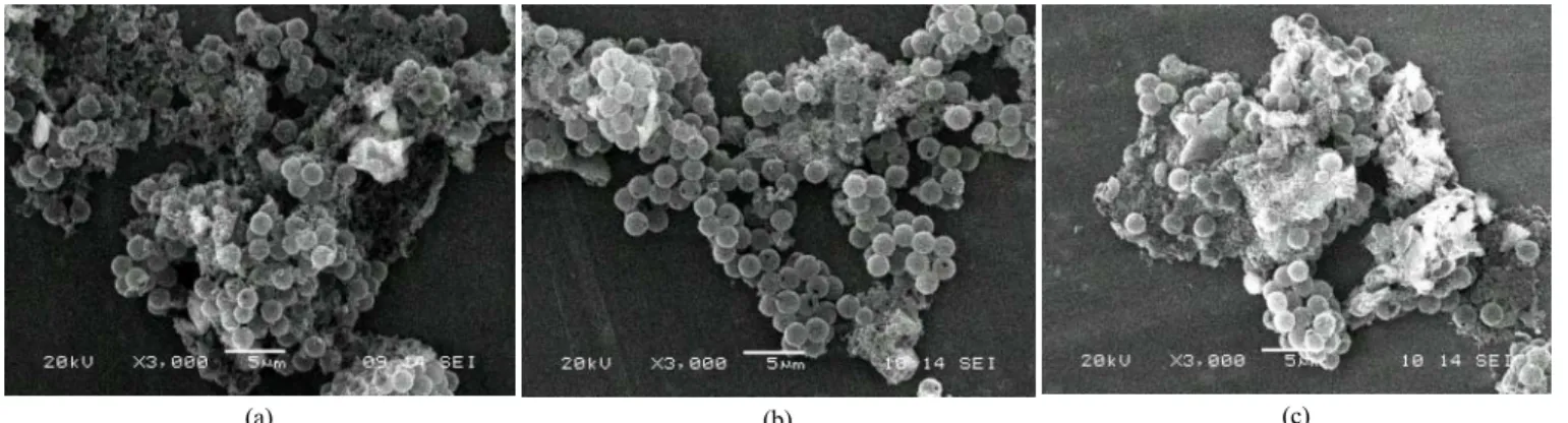 Figure 4. SEM photographs of MnO 2  hollow microspheres at the various NH 4 OH concentration : (a) 0.01 mM  (b) 0.02 mM  (c) 0.03 mM.
