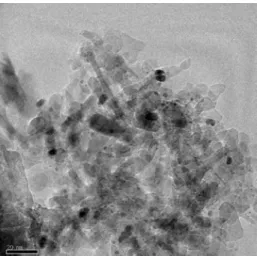 Figure 6. TEM image of Cat 4: Rh-Pt/Al 2 O 3  (0.5 wt% Rh, 5 wt% 