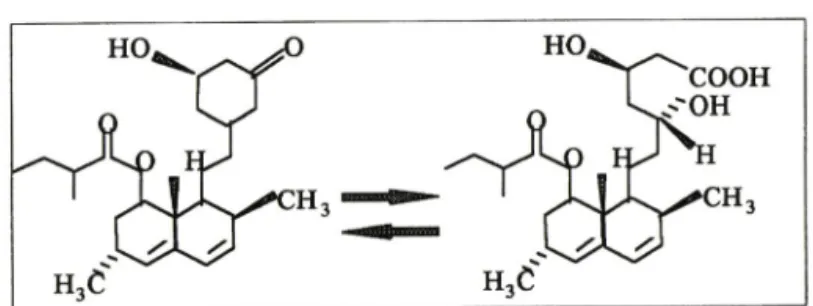 Fig.  1  — Structural formula of lovastatin and its active metabolite,  lovastatin acid,  showing the inactive prodrug in the  lactone form  (left)  and the active inhibitor in the hydroxyacid form  (right).