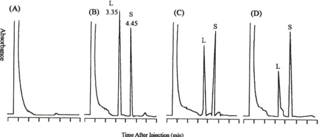 Fig-  2 — Chromatograms  of lovastatin  (L)  from  plasma  standards  and  samples  after  the  last  dose