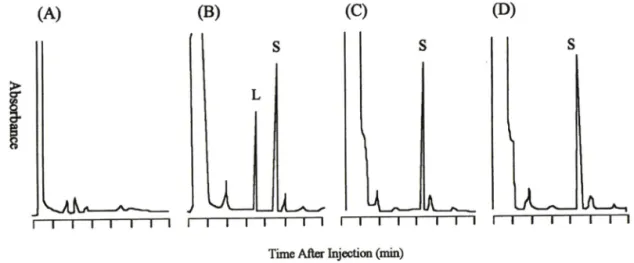 Fig.  3 — Chromatotograms from urine standards and samples after the last dose.  (A)  Blank urine ；   (B)  urine standard  spiked with 2 |ig/m ；：   (C)  urine sample collected during  hrs ：   (D)  urine sample collected during 2—6 hrs.