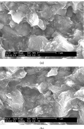 Figure 7. Pendant side chain (PSC) of dimethacrylate monomer  component in the polymeric dental restorative composite.