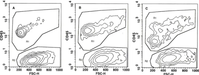 Fig.  2 — A  FSC/FL2  dual  parameter  dot  with  PE-conjugated  anti-mouse