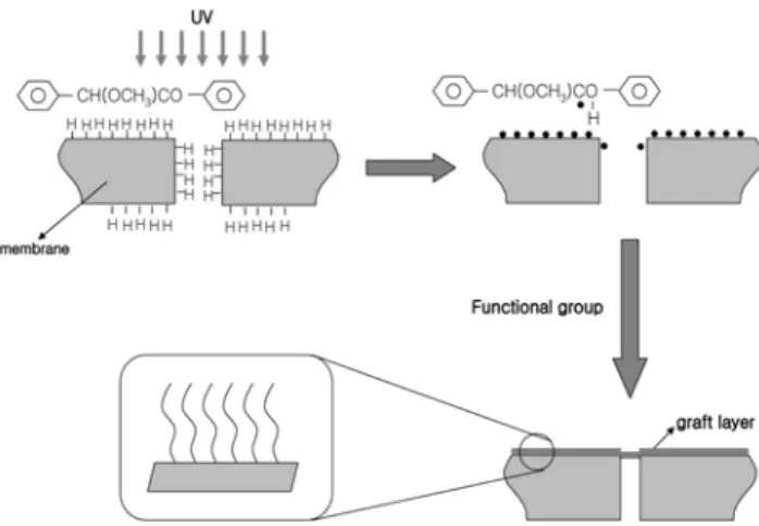 Figure 1. Schematic diagram of UV graft polymerization method.