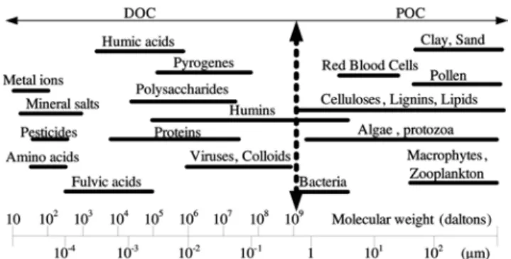 Figure 1. Typical constituents in surface water and their size range[1,2].