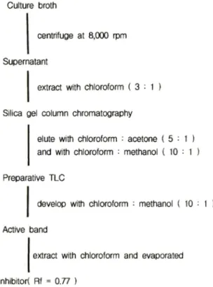 Fig.  1 — Purification  Steps  of  acyl  CoA  synthetase  ir  hibitor from  Bacillus  sp