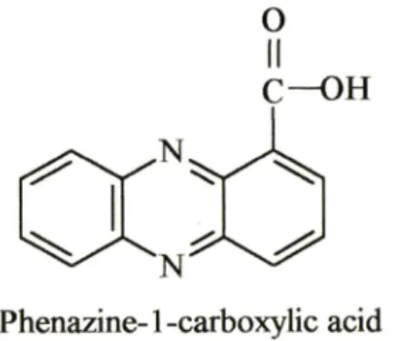 Fig. 3 — — Proposed  structure  of acyl  CoA  synthetase  in ­ hibitor from  Bacillus  sp