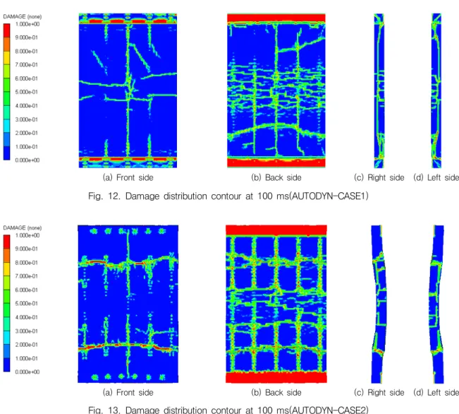 Fig.  13.  Damage  distribution  contour  at  100  ms(AUTODYN-CASE2)