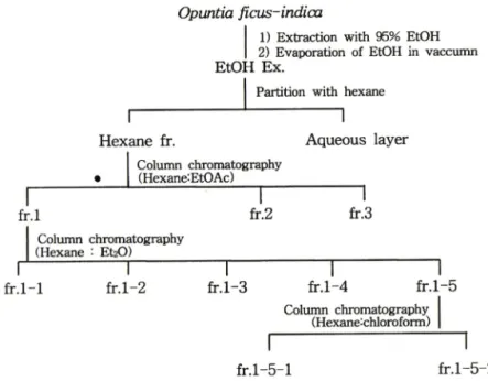 Fig.  1 — Separation scheme for active principle of anti-inflammatory activity from cactus stem.