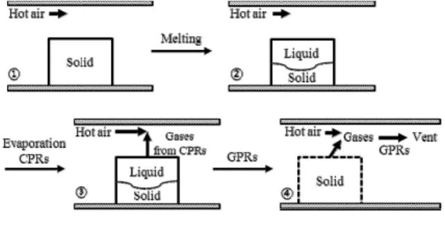 Fig.  1.  Thermal  decomposition  procedure  in  the  flow  system     본  연구에  논의될  cyclotol의  열분해  과정을  총  4단 계로  구분하였다 