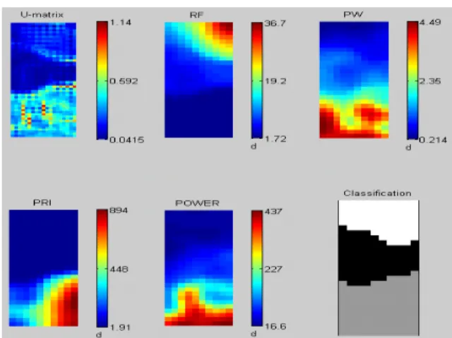 Fig.  8.  The  visualization  of  resulting  reverse  extrapolation  using  SOM