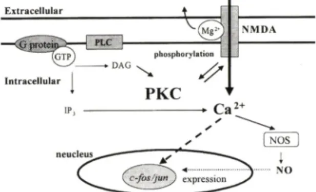 Fig  2 — Model  of  various  described  alternatives  in­