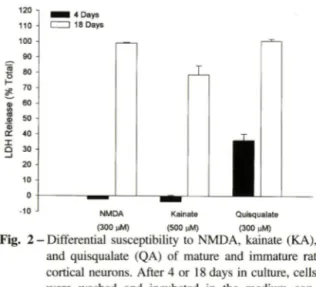 Fig.  2 — Differential  susceptibility to NMDA,  kainate (KA),  and  quisqualate  (QA)  of mature  and  immature  rat  cortical neurons