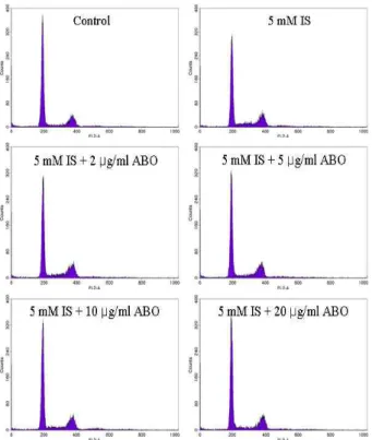 Table 1. Effects of ABO on the distribution of cell cycle in IS-treated HK-2 cells Cell cycle population (%) 5 mM IS ABO (μg/ml) -0 +0 +2 +5 + 10 + 20 Sub-G1 1.80 2.68 2.52 2.49 2.10 2.68 G0/G1 73.76 59.69 63.18 65.04 67.27 69.42 S 6.43 13.39 11.22 9.82 8.