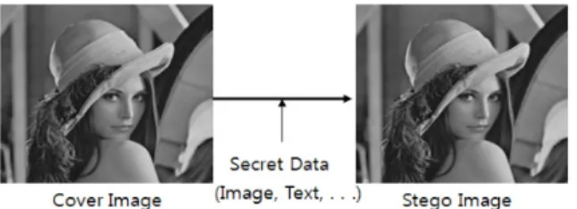 Fig.  2.  Concept  of  information  hiding