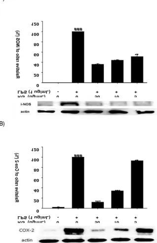 Fig. 5. Effects of Red Ginseng extract on LPS-induced TNF-α  production in RAW 264.7 cell