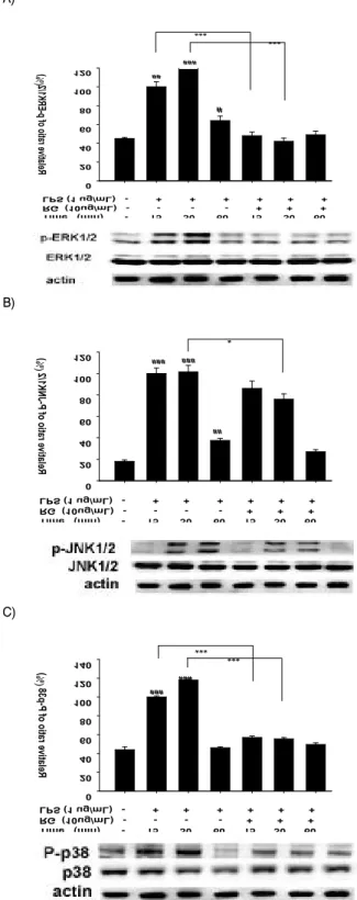 Fig. 7. Effects of Red Ginseng extract on the level of IκBα and p-Iκ Bα in the LPS- stimulated RAW 264.7 cells