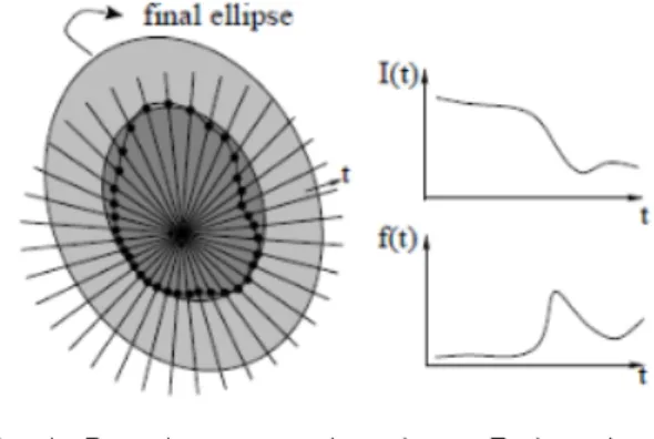 Fig. 1. Detecting  extremal  regions:  Explore  image  around  rays  from  Intensity  extremum  and  go  along  every  ray  starting  from  this  point  until  an  extremum  of  function    is  reached