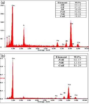 Fig. 4. SEM micrographs and EDS spectrum of surface  layer  of  CuNi  alloy(C6070)  (a)  test  group  (b)  contro  l  group