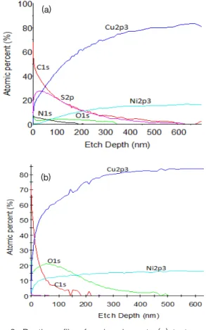 Fig.  8.  Depth  profile  of  major  elements  (a)  test  group  and  (b)  control  group