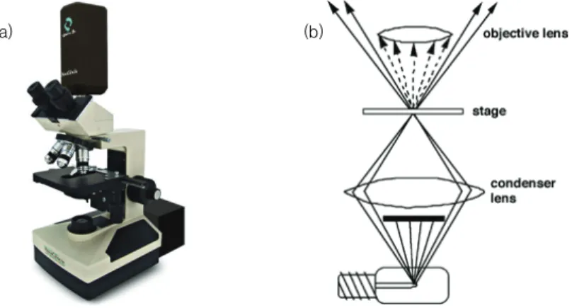 그림 11. Electrozone sensing 기기의 모식도. 24