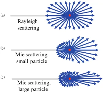 그림 12.  산란체의 크기에 따른 광산란의 패턴: (a) small particles larger  than 1/10 the wavelength of light), (b) larger particles with 1/4 the  wavelength of light, and (c) much larger particles than the wavelength of  light