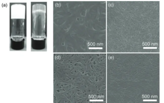 그림 11. (a) 블록 공중합체 17과 (b) poly( p -benzamide) 15의 THF 용매 에서 생성된 polymeric aggregates의 SEM 이미지