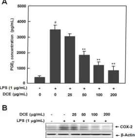Fig. 5. Effect of D. chrysantha extract on LPS-induced NO production and iNOS expression in RAW 264.7