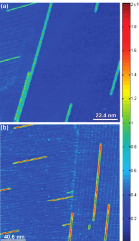 그림 4. Polystyrene-polyisoprene block 공중합체의 AFM 이미지. 
