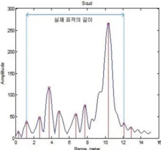 Fig.  2.  Peak  search  imaging  of  the  scud  missile