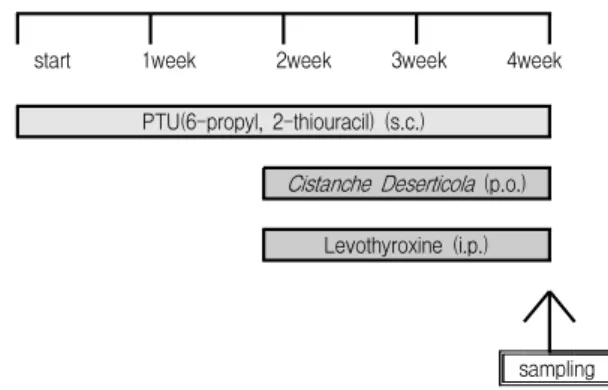 Table 1. Structure of the experiment