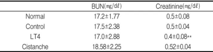 Table 3. Biochemical analysis of BUN and creatinine in each experimental group BUN(㎎/㎗) Creatinine(㎎/㎗) Normal 17.2±1.77 0.5±0.08 Control 17.5±2.38 0.5±0.04 LT4 17.0±2.88 0.4±0.08** Cistanche 18.58±2.25 0.52±0.04