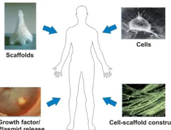 그림 1. Approaches for tissue engineering and regenerative medicine.