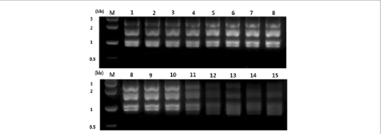 Figure 4. Detection limit of RNA concentration for next generation sequencing 