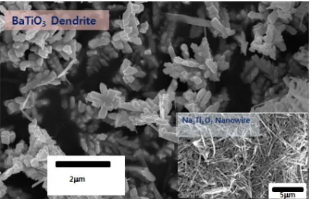 Fig.  2.  BaTiO 3  prepared  from Na 2 Ti 3 O 7