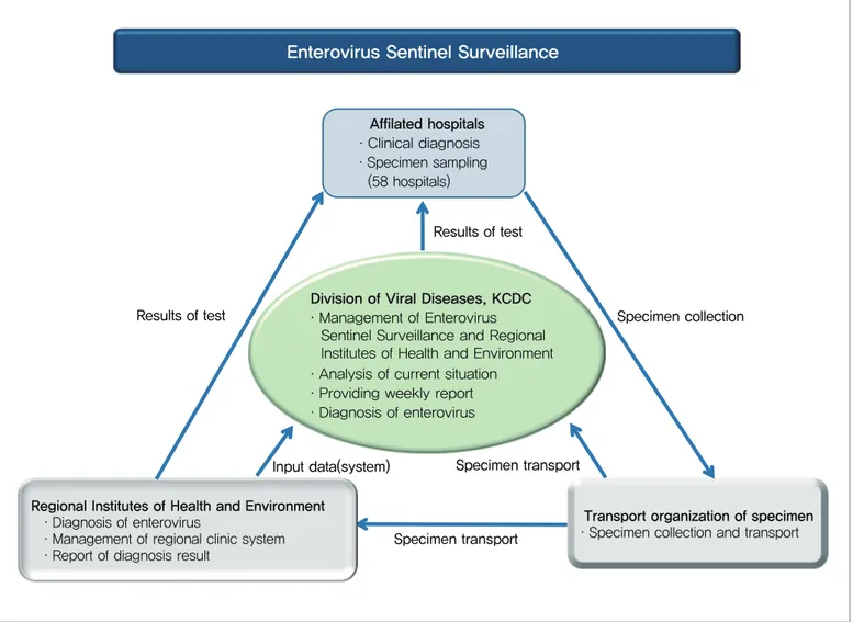 Figure 1. Schematic diagram of enterovirus sentinel surveillance