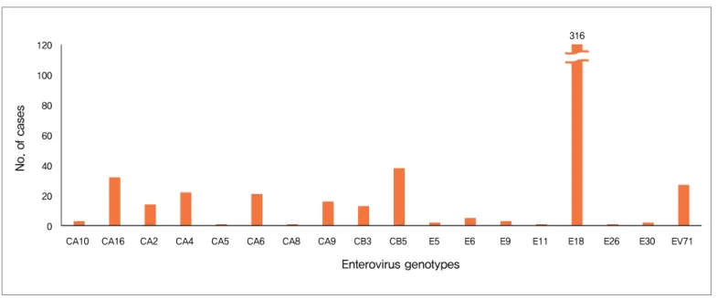 Figure 3. Distribution of enterovirus genotypes detected, 2016