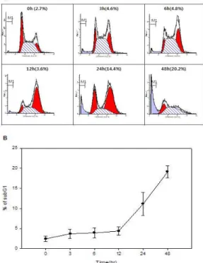Fig. 4. TCK induces G2/M phase arrest in MCF-7 cell. TCK(60 ㎍/㎖) treatment significantly increased G2/M phase arrest time-dependently in MCF-7 cell