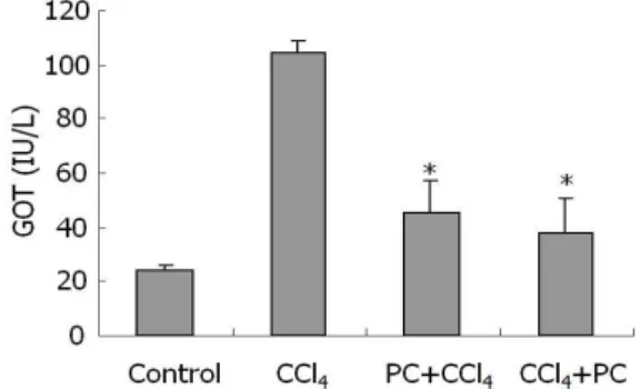 Fig. 1. The effect of the hot water extract of Phellodendri Cortex (PC) on serum GOT levels with hepatic damage induced by carbon tetrachloride (CCl 4 )