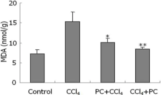 Fig. 6. The effect of PC on GSH contents with hepatic damage induced by CCl 4 . Each groups were treated with 0.5 ml/kg of olive oil (Control), 0.5 ml/kg of CCl 4 (CCl 4 ), 0.5 ml/kg of CCl 4 after administration of 50 mg/kg of PC for 7 days (PC+CCl 4 ) an