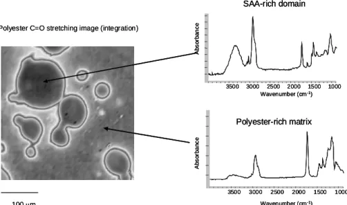 그림 10. Poly(styrene- co -allyl alcohol)/polyester blend의 chemical imaging (64×64 pixels)결과