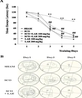 Fig. 3. Effect of LAE on the SCO-induced memory impairment in passive avoidance test. LAE (100, 200 mg/kg, p.o.) was administered 30 min before SCO treatment (1 mg/kg, i.p.)