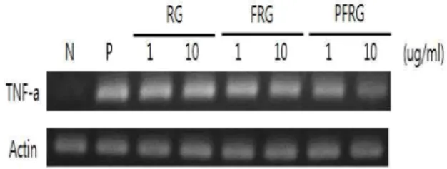 Fig. 4. Change of mRNA expression of TNF-α  by the red-ginseng(RG), fermented red-ginseng(FRG) and purified red-ginseng(PFRG)