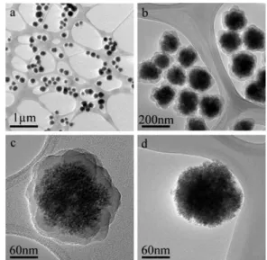 그림 5. TEM images of the as-prepared Fe 3 O 4 @PANI (a-c) and Fe 3 O 4