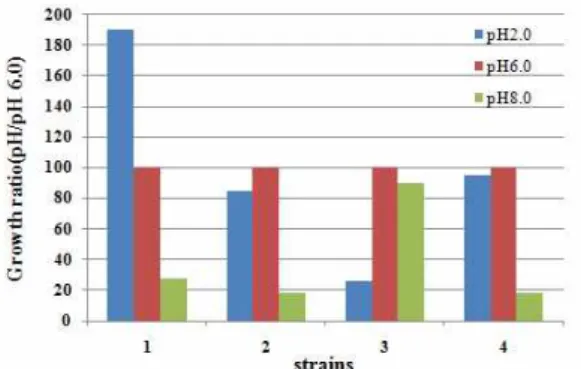 Fig. 3. Change of the cell growth in incubating type.