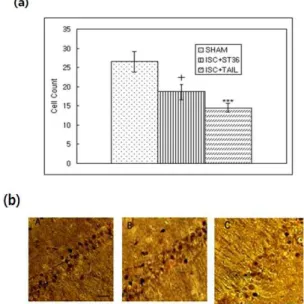 Fig. 2. The effecf of stimulation at ST36 on expression of ChAT. (a) The number (mean ± SEM) of choline acetyltransferase (ChAT) immunostained nuclei in hippocampal CA1 area of the experimental groups after the water maze learning task
